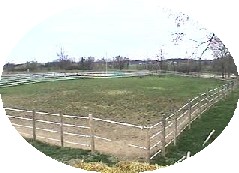 Photo of Outdoor Arena