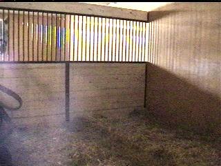 Inside stall of main barn